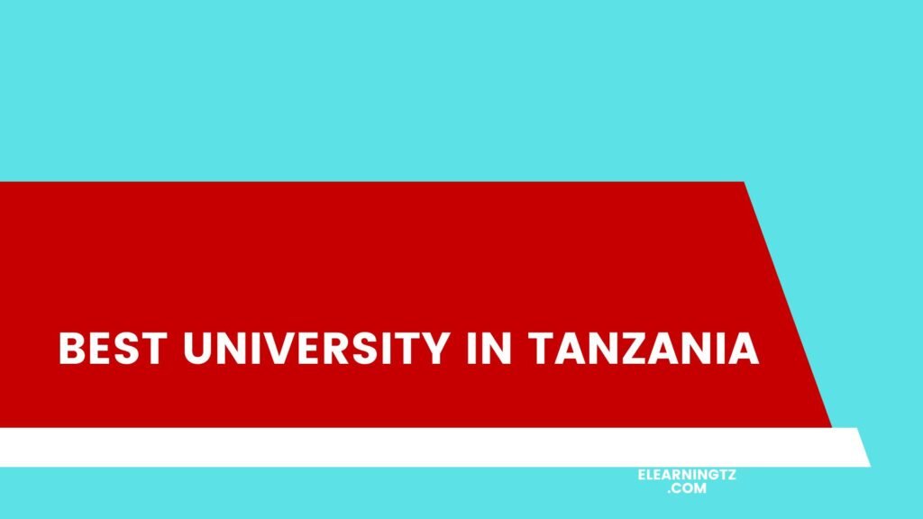 Best University in Tanzania