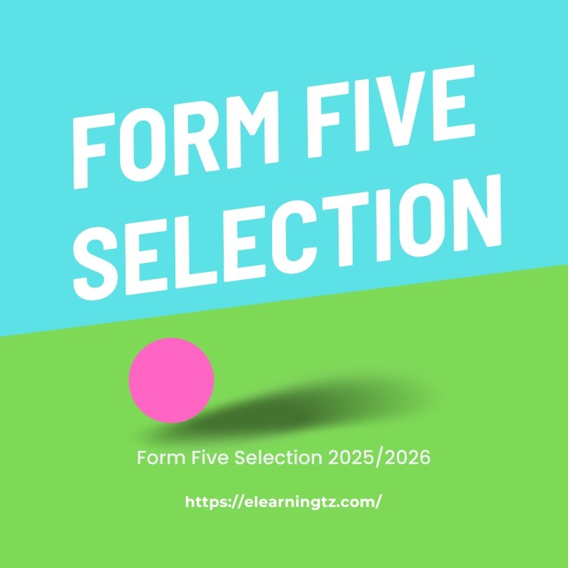Form Five Selection Binza Secondary School 2025